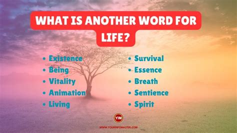 another word for life journey.